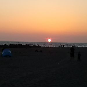 Meet your Posher, Frank